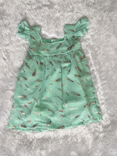 Feather Georgette frock